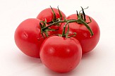 Greek firm acquires tomato products sector from Elais-Unilever